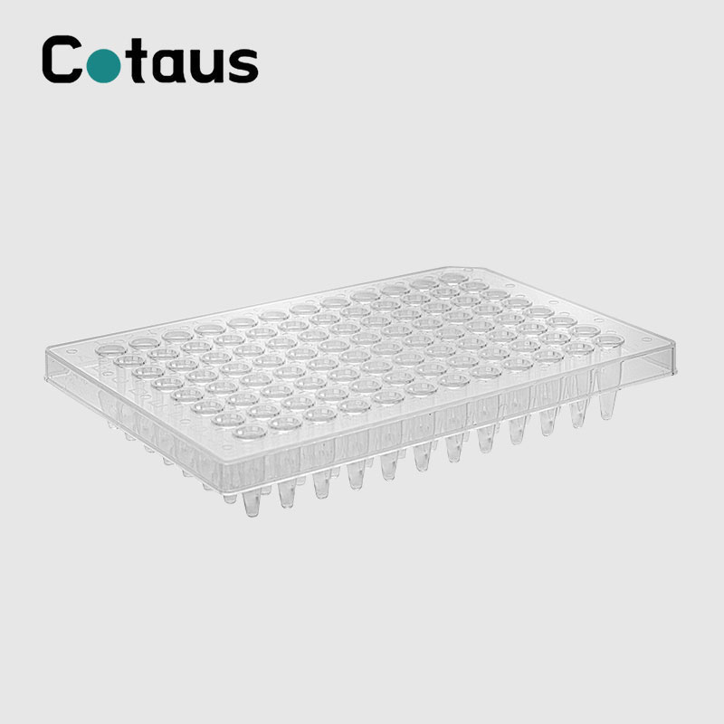 Wat is 'n PCR-plaat